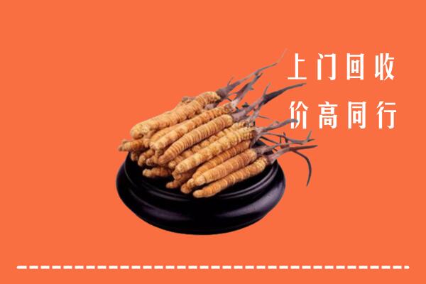 高价求购：保定清苑回收散虫草