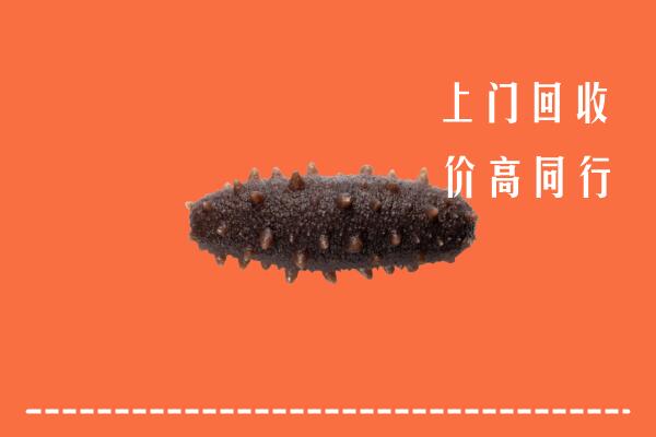 高价求购：保定清苑回收海参