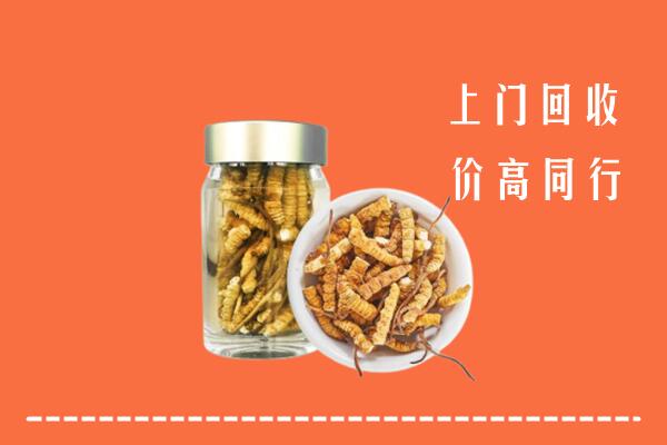 保定清苑回收冬虫夏草