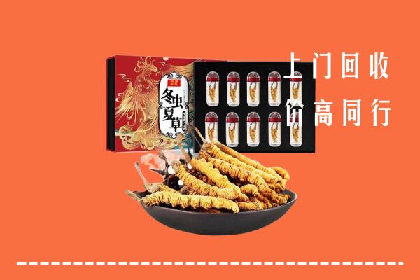 保定清苑回收虫草